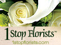5% Off on any order
