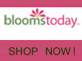 Celebrate Spring – 20%-50% Off
