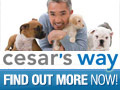 10% off Nylon Training Leads.
