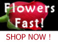 Same Day Delivery in U.S. and Canada.