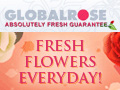 Free Shipping on US orders.