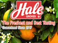 Fresh Fruit Gift Every Month