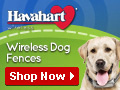 Free Shipping on $99+ Order.