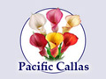 Free Shipping on All Orders