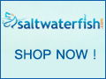 Free Shipping on Reef Packages.