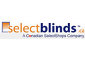 Free Shipping on Best Selling Items