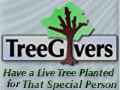 Personalized Cards with Tree Gift